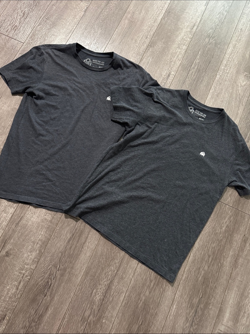 2 into the am charcoal heather gray tee shirts M